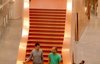 Pietų Danijos universitetas